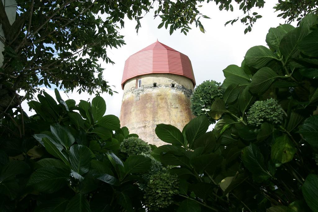 O Moinho Da Bibi Villa Candelária Dış mekan fotoğraf